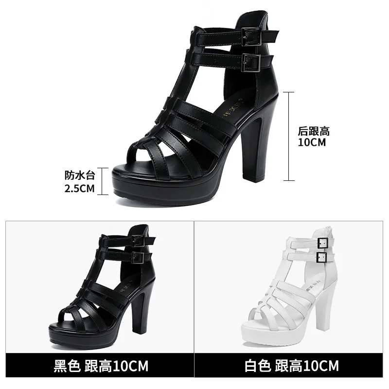 Gladiador senhoras sapato para - Gladiator Sandal Women avaliação e preço